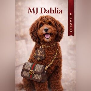 ❤️ LIVE SHOW FLIER ❤️